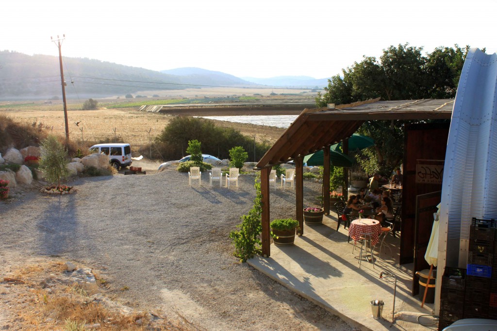 יקב יפו